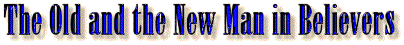 The Old and New Man in Believers