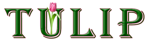 TULIP