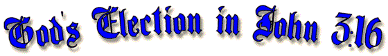 God's Election in John 3:16
