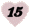 Chapter 15