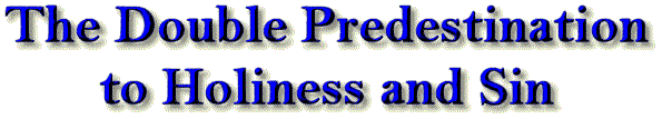 The Double Predestination to Holiness and Sin